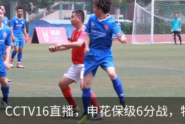 CCTV16直播，申花保级6分战，特谢拉+王上源解禁，河南两连客别掉队